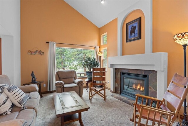 248 Pine Forest Rd, Lake George, CO 80827 - photo 6