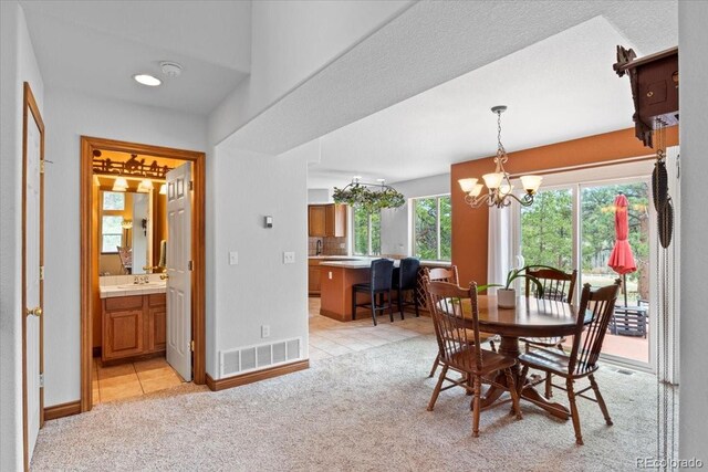 248 Pine Forest Rd, Lake George, CO 80827 - photo 9
