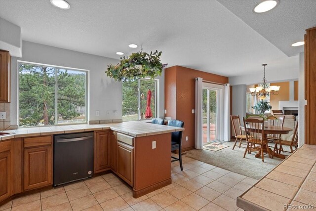 248 Pine Forest Rd, Lake George, CO 80827 - photo 13