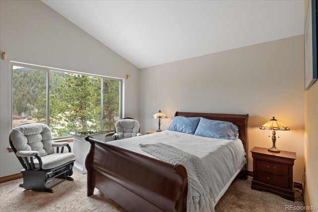 248 Pine Forest Rd, Lake George, CO 80827 - photo 15
