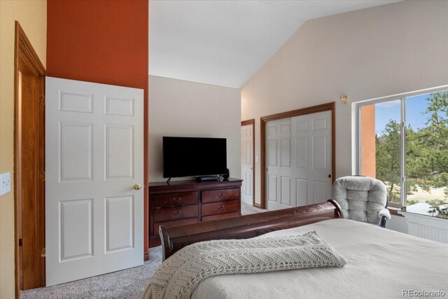 248 Pine Forest Rd, Lake George, CO 80827 - photo 16