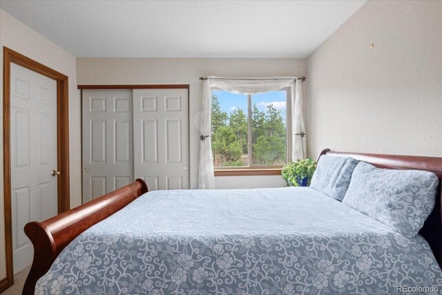 248 Pine Forest Rd, Lake George, CO 80827 - photo 20