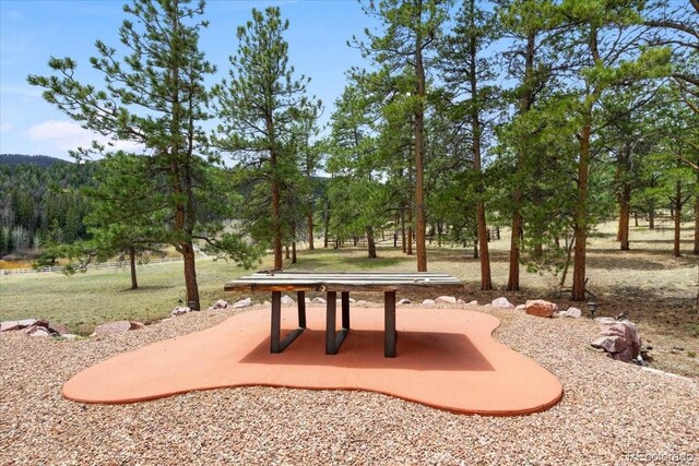 248 Pine Forest Rd, Lake George, CO 80827 - photo 28