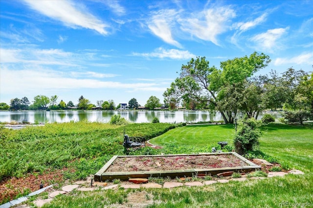 4790 W Lakeridge Rd, Denver, CO 80219 - view of green lawn with a water view and a garden