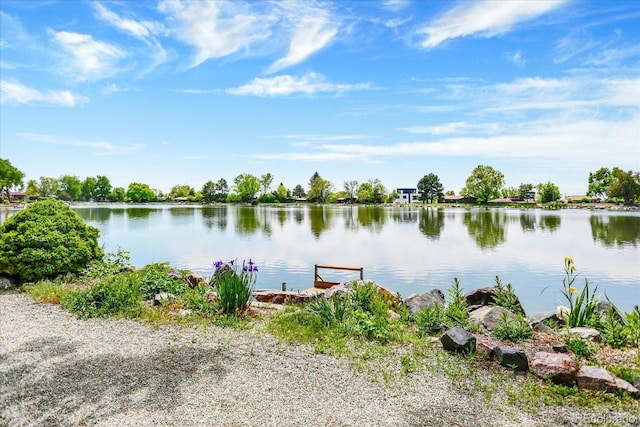 4790 W Lakeridge Rd, Denver, CO 80219 - water view