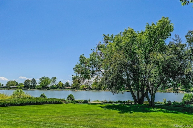 4790 W Lakeridge Rd, Denver, CO 80219 - water view