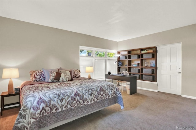 4790 W Lakeridge Rd, Denver, CO 80219 - bedroom with carpet floors and baseboards