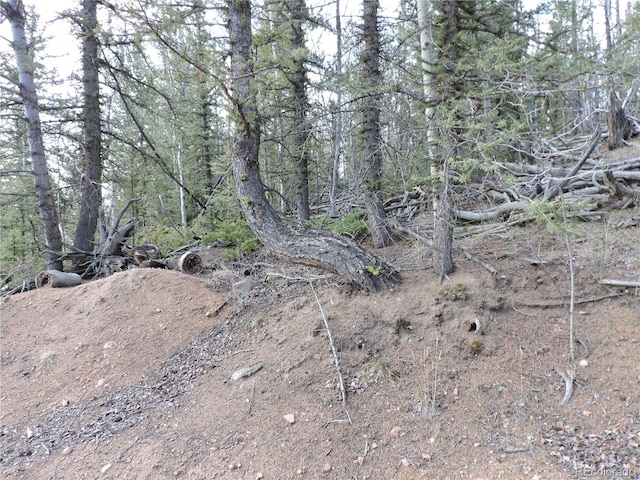 258 Old Squaw Rd, Como, CO 80432
