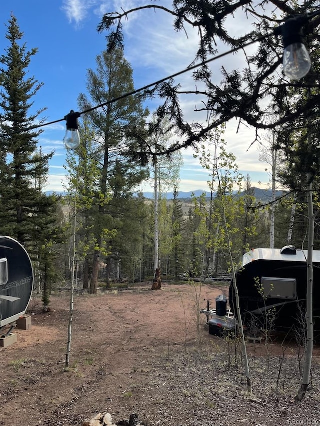 258 Old Squaw Rd, Como, CO 80432