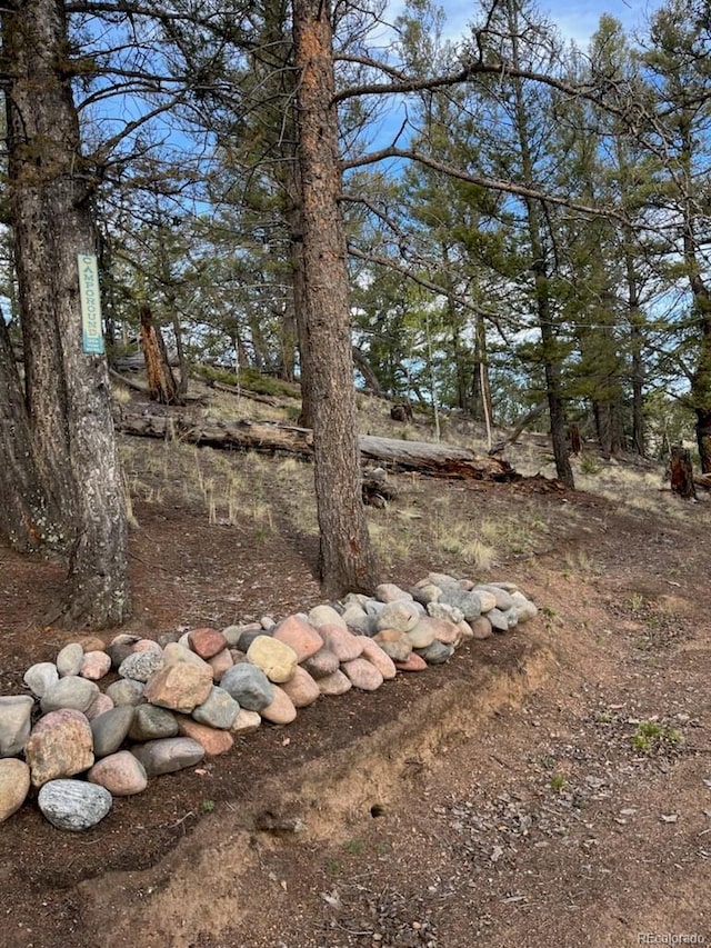 258 Old Squaw Rd, Como, CO 80432