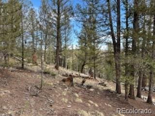 258 Old Squaw Rd, Como, CO 80432
