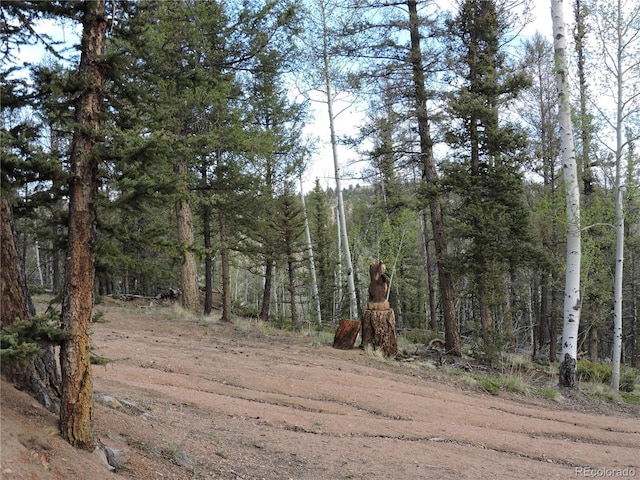 258 Old Squaw Rd, Como, CO 80432