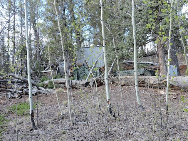 258 Old Squaw Rd, Como, CO 80432