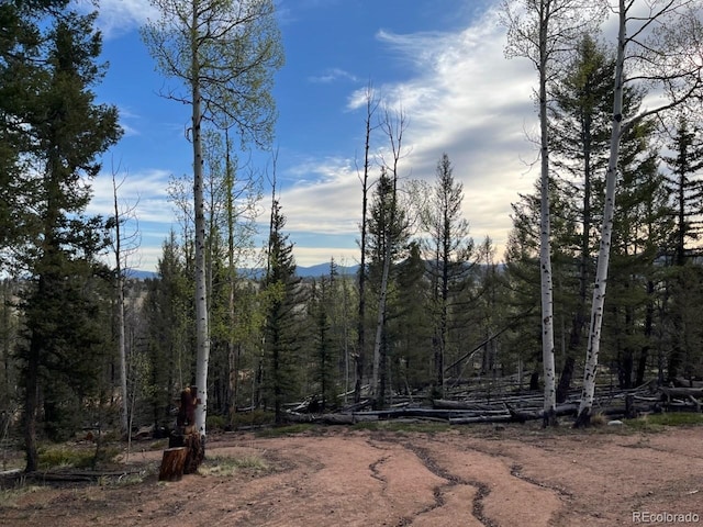 258 Old Squaw Rd, Como, CO 80432