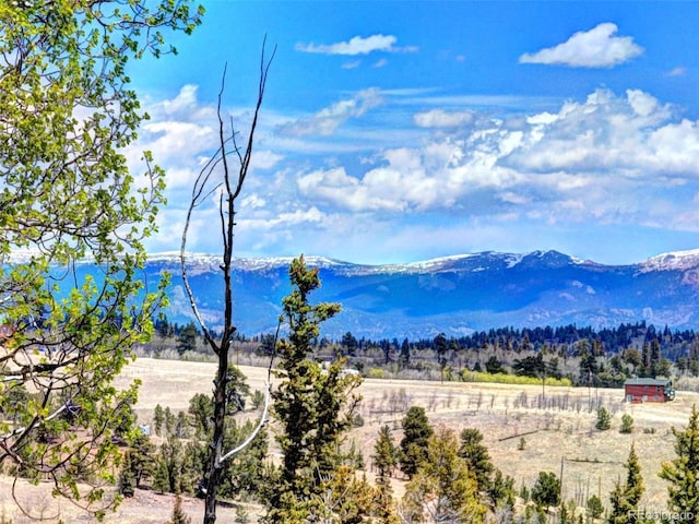 258 Old Squaw Rd, Como, CO 80432