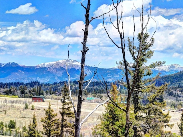 258 Old Squaw Rd, Como, CO 80432