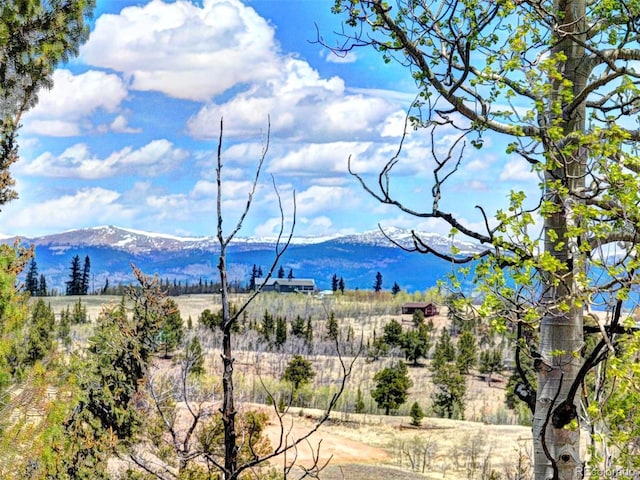 258 Old Squaw Rd, Como, CO 80432