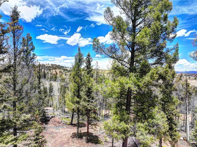 258 Old Squaw Rd, Como, CO 80432