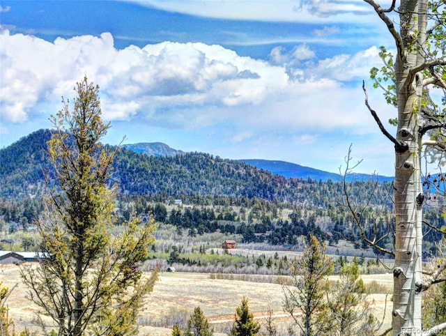 258 Old Squaw Rd, Como, CO 80432