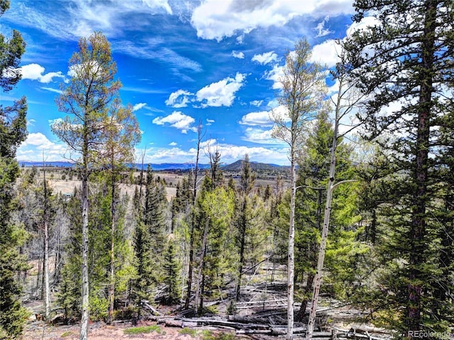 258 Old Squaw Rd, Como, CO 80432