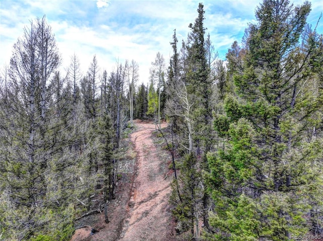 258 Old Squaw Rd, Como, CO 80432