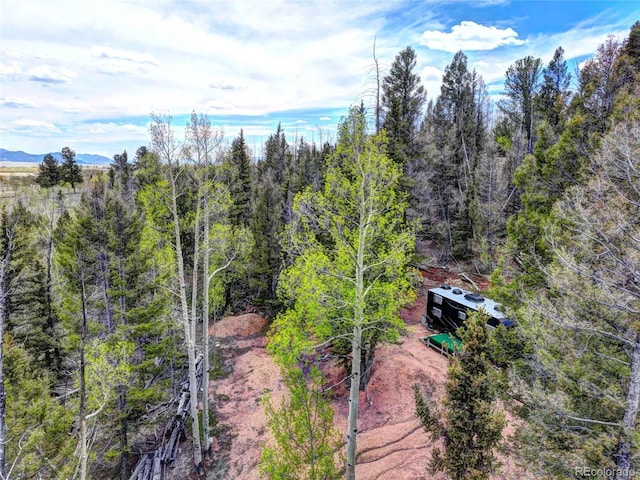 258 Old Squaw Rd, Como, CO 80432