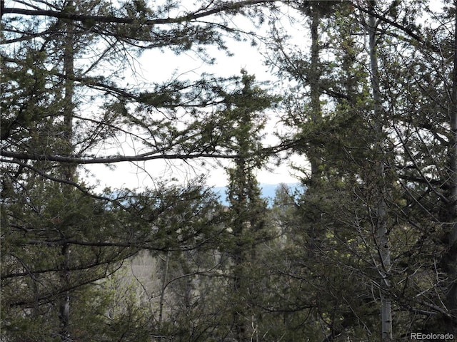 258 Old Squaw Rd, Como, CO 80432