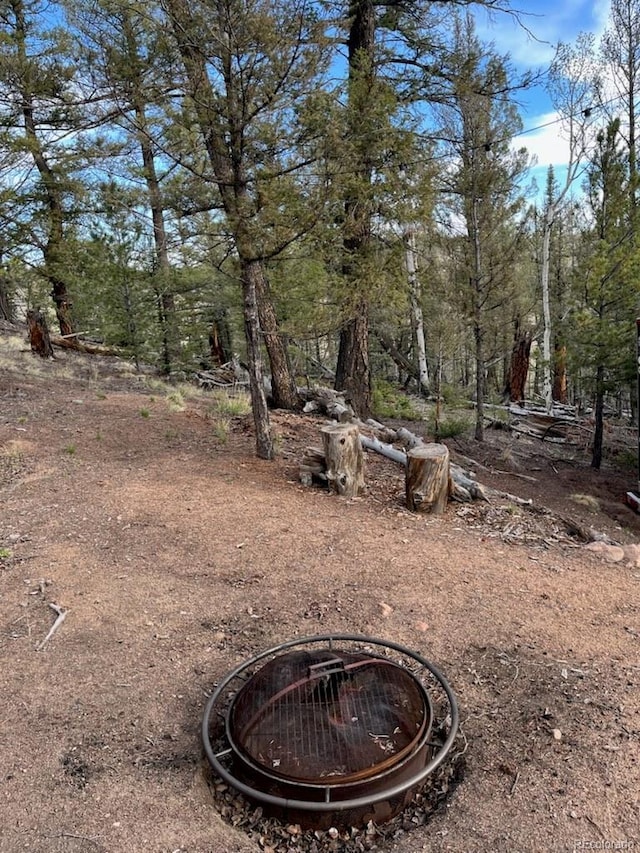 258 Old Squaw Rd, Como, CO 80432