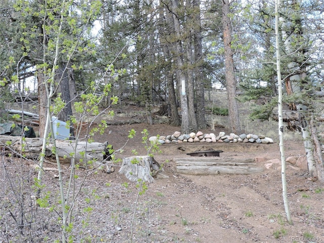 258 Old Squaw Rd, Como, CO 80432