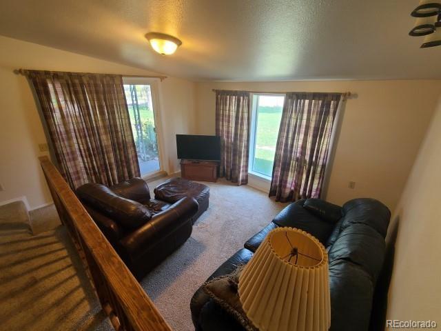 carpeted living room with vaulted ceiling