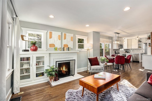 living room featuring a fireplace and wood-type flooring