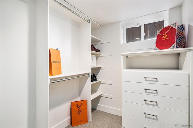 walk in closet with light colored carpet