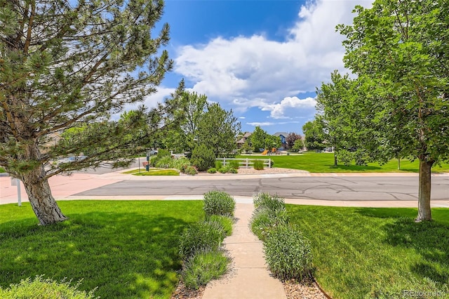 11638 Xavier Way, Westminster, CO 80031 - view of green lawn