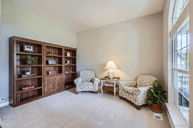11638 Xavier Way, Westminster, CO 80031 - sitting room with carpet flooring
