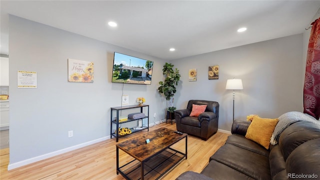 7609 Sherman Pl, Denver, CO 80221 - living room featuring light hardwood / wood-style flooring