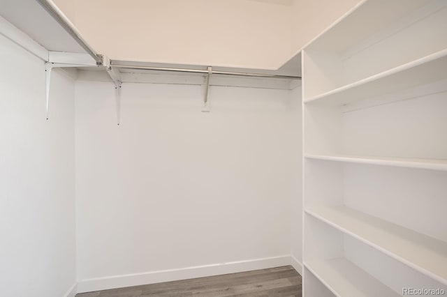 walk in closet with hardwood / wood-style floors