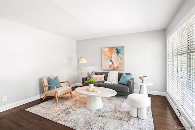 1360 S Hudson St, Denver, CO 80222 - living room featuring dark wood-style flooring