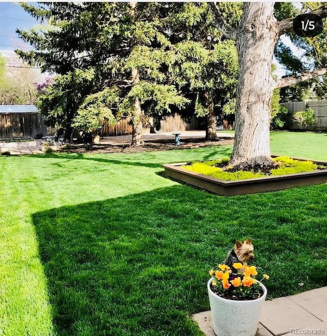 1360 S Hudson St, Denver, CO 80222 - view of fenced yard