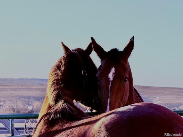 37670 County Road 69, Briggsdale, CO 80611 - photo 3