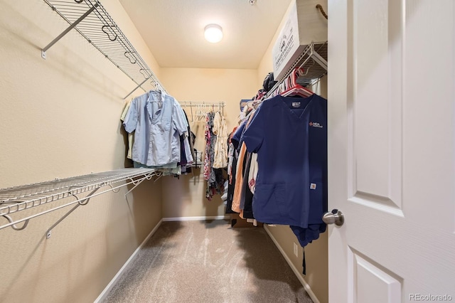 walk in closet with carpet flooring