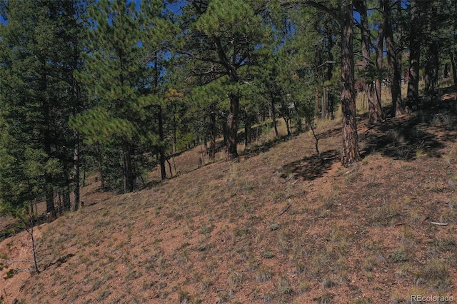 view of local wilderness