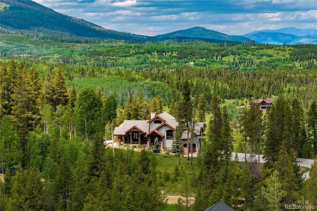 1606 Moose Run Ln, Fraser, CO 80442 - photo 5