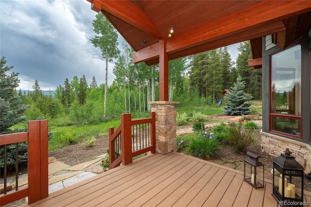 1606 Moose Run Ln, Fraser, CO 80442 - photo 11