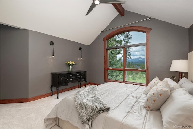 1606 Moose Run Ln, Fraser, CO 80442 - photo 34