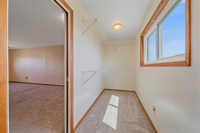 spacious closet with carpet flooring