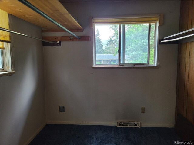 5274 W Rowland Pl, Littleton, CO 80128 - walk in closet featuring carpet flooring