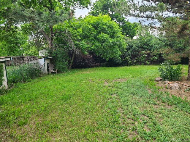 5274 W Rowland Pl, Littleton, CO 80128 - view of green lawn