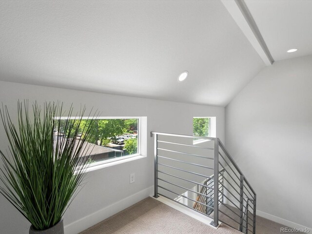 1568 Wolff St, Denver, CO 80204 - photo 26