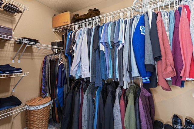 view of spacious closet