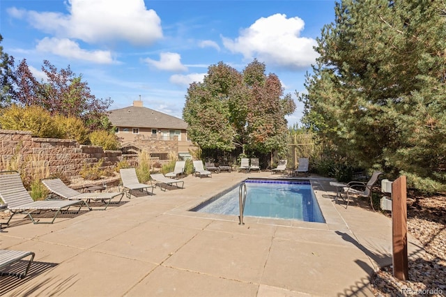 view of swimming pool with a patio